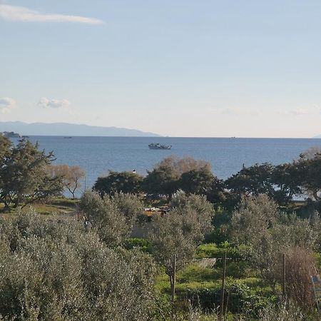 Mina'S Studios In Naxos Island Ájos Prokópios Eksteriør bilde